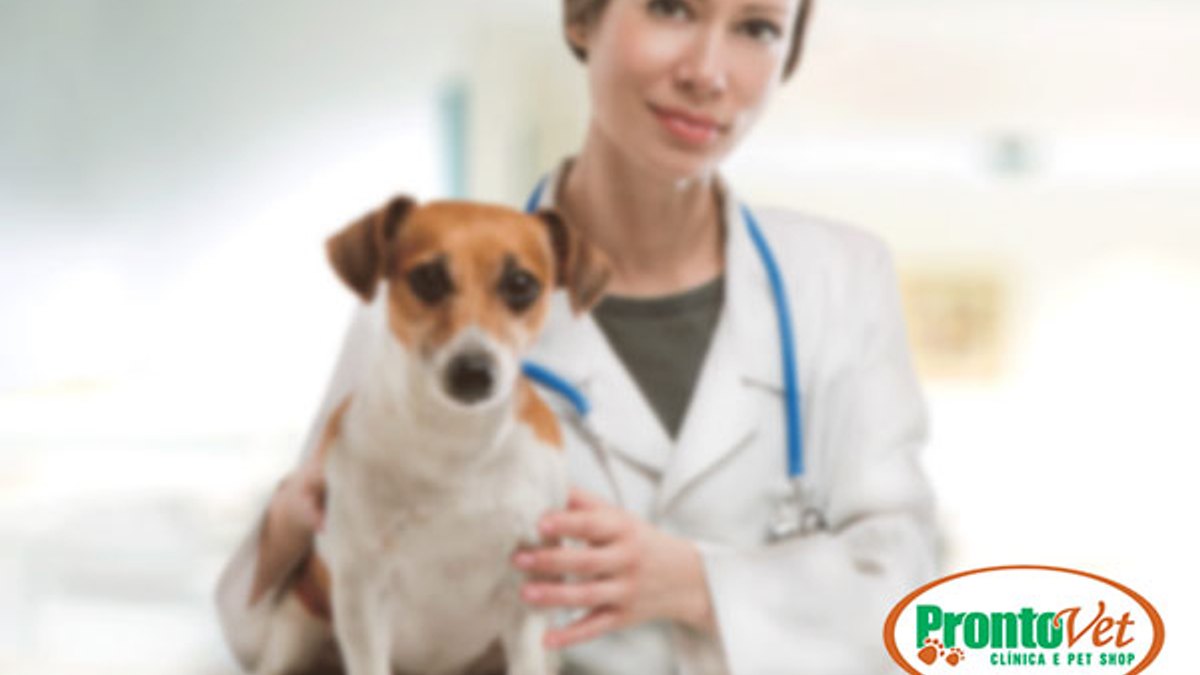 ProntoVet - Clínica Veterinária e Pet Shop